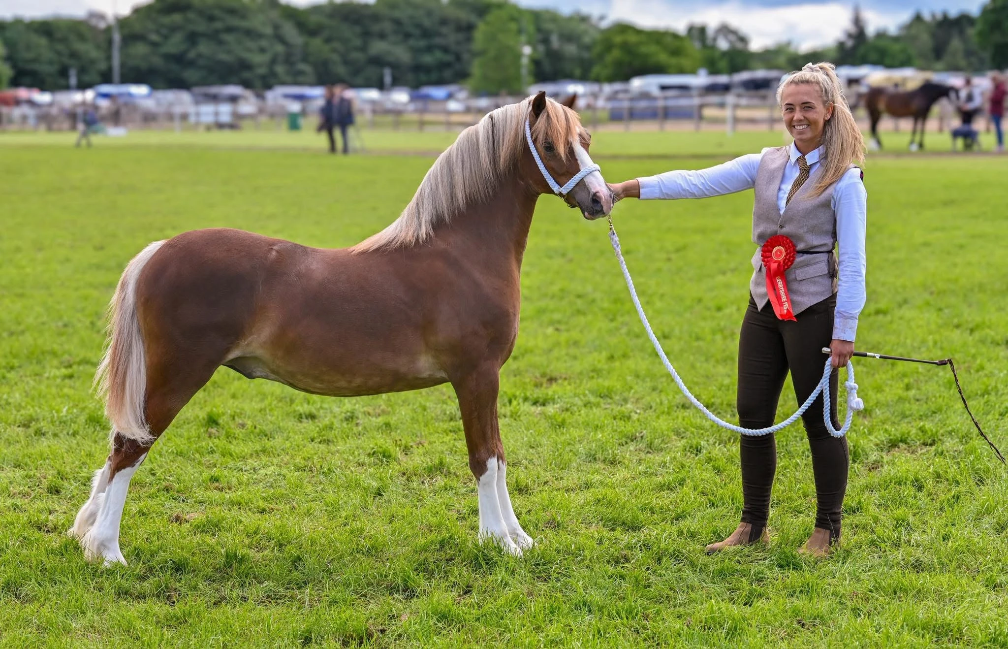 Albert standing with his handler on the showground